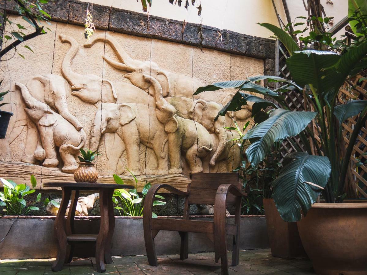 Cool Guesthouse Csiangmaj Kültér fotó